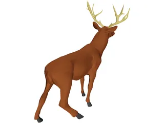Deer Mule 3D Model preview