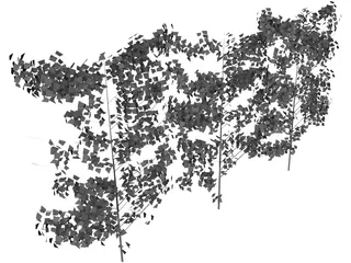 Hedge 3D Model preview