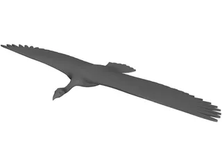 Vulture 3D Model preview