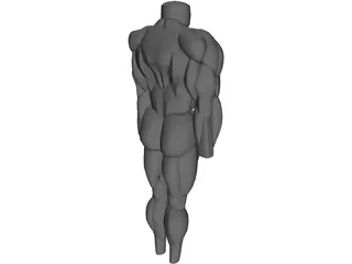 Muscles Body 3D Model preview
