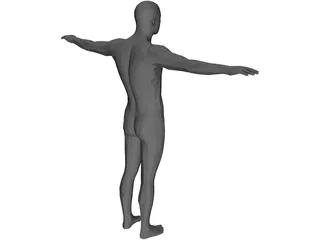Human Body Male 3D Model preview