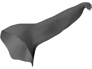 Arm Male 3D Model preview