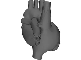 Heart 3D Model preview