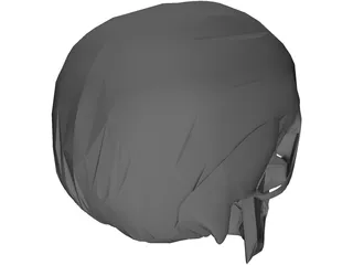 Skull 3D Model preview