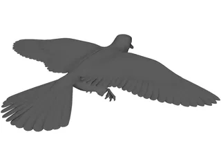 Dove 3D Model preview