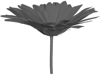 Daisy 3D Model preview