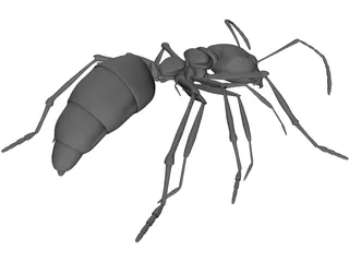 Ant 3D Model preview