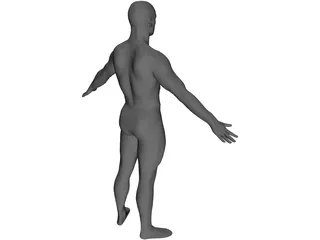 Man European 3D Model preview