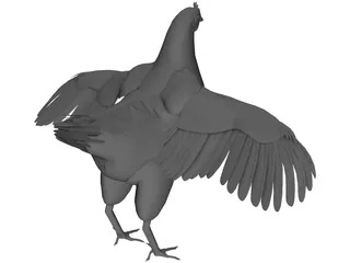 Chicken 3D Model preview