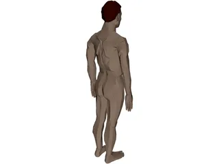 Man 3D Model preview