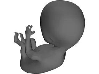 Baby Fetus Infant 3D Model preview