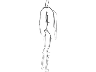 Circulatory System 3D Model preview