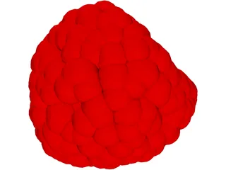 Raspberry 3D Model preview