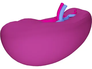 Spleen 3D Model preview