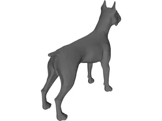 Dog Boxer 3D Model preview