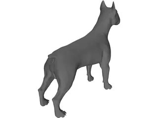 Dog Bull Terrier 3D Model preview