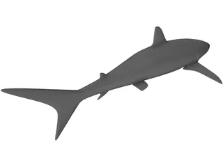 Shark 3D Model preview