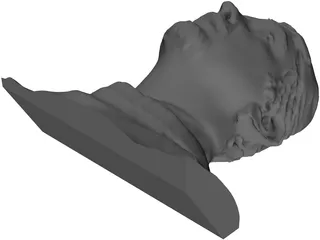 Face Human Digitalized 3D Model preview