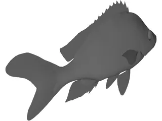 John Dory Type Fish 3D Model preview