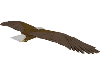 Bald Eagle 3D Model preview