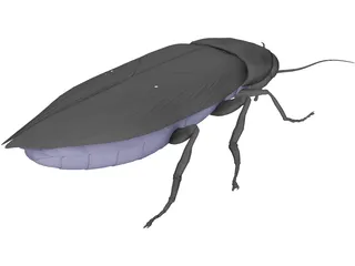 Firebeetle 3D Model preview