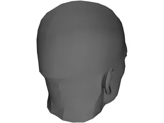 Male Adult Head 3D Model preview