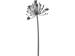 Bell Agapanthus Flower 3D Model preview