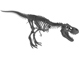 Tyrannosaurus Rex Skeleton 3D Model preview