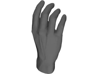 Hand 3D Model preview
