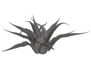 Agave Americana Marginata 3D Model preview