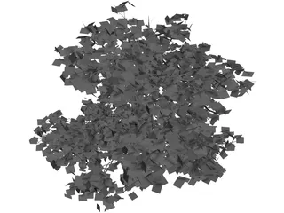 Acer Palmatum 3D Model preview