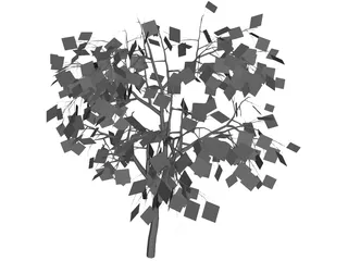 Weeping Higan Cherry 3D Model preview