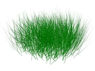 Grass 3D Model preview