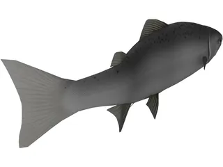 Happy Fish 3D Model preview