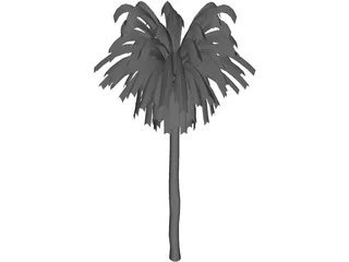 Palm Tree 3D Model preview
