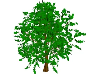 Baum Tree 3D Model preview