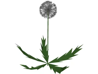 Dandelion 3D Model preview
