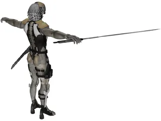 Raiden 3D Model preview