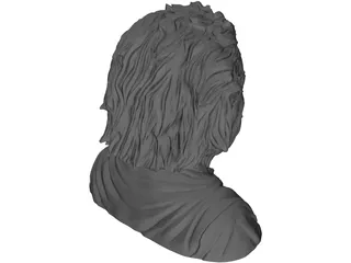 Albert Einstein 3D Model preview