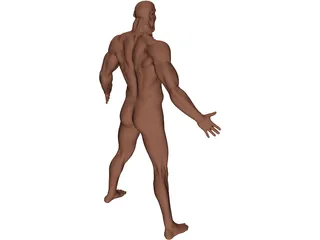 Man 3D Model preview