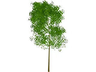Tree 3D Model preview