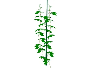 Plant 3D Model preview