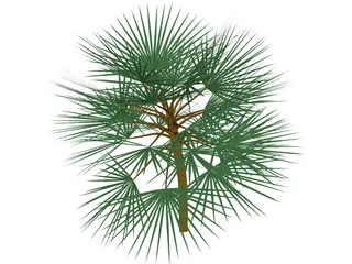 Palm 3D Model preview