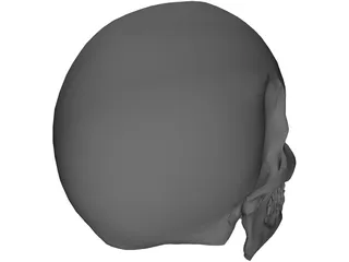 Skull 3D Model preview