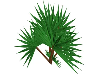 Palmetto Plant 3D Model preview