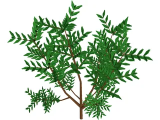 Azalea Bush 3D Model preview