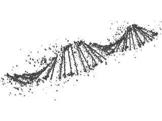 DNA Human 3D Model preview
