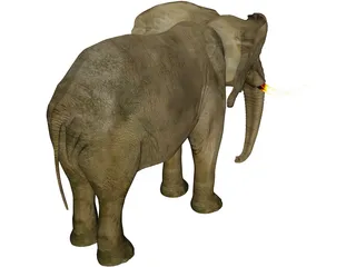 Elephant 3D Model preview