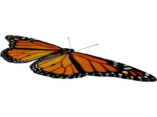 Butterfly 3D Model preview
