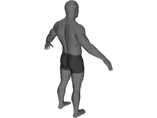 Male 3D Model preview